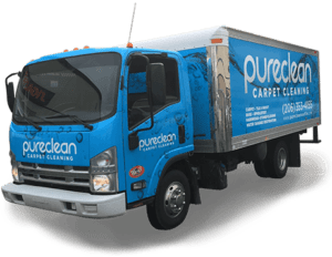 Carpet Cleaning Services in Seattle WA