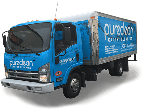 You are currently viewing The  PureClean™ Carpet Cleaning Difference