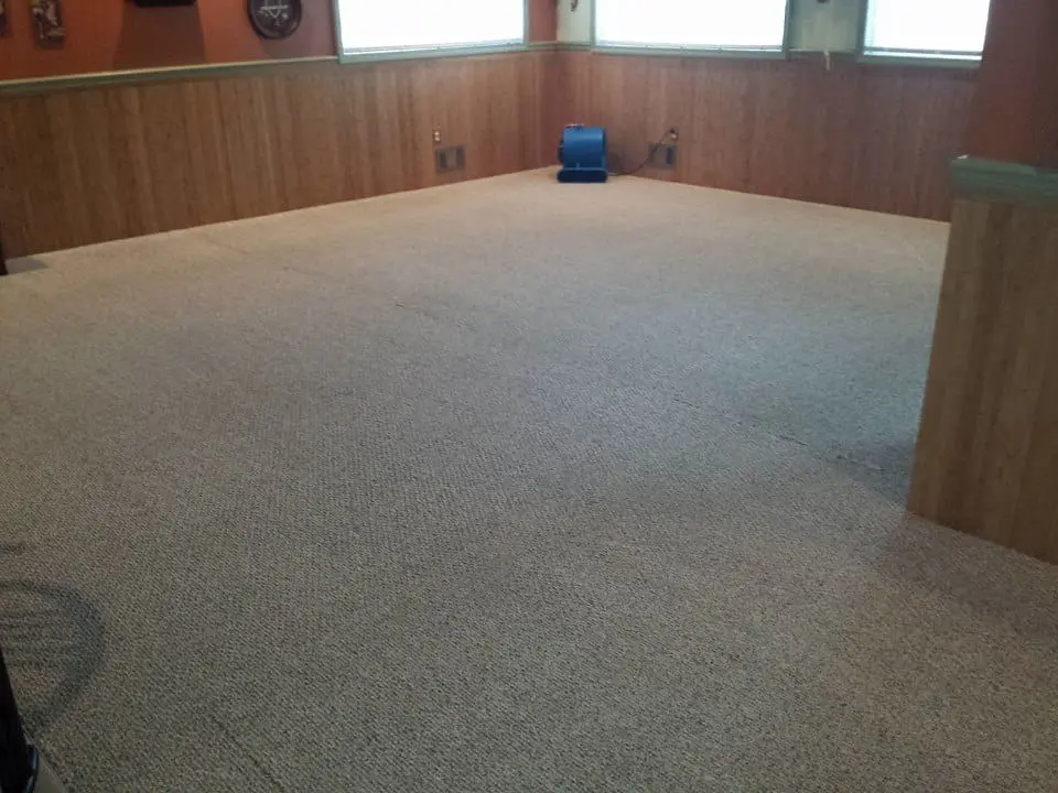 Carpet Cleaning Services Near Me - Pure Clean Carpet Cleaning Services