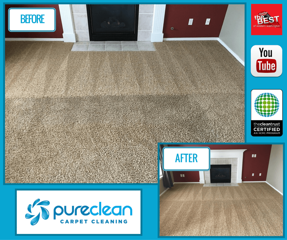 Carpet Cleaners Services Near Me - Pure Clean Carpet Cleaning