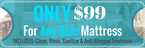Why You Should Clean Your Mattress - Pure Clean Why You Should Clean Your Mattress - Pure Clean