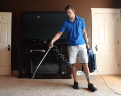 Ridding Your Home of Pet Odor - Pure Clean Read more about the article Ridding Your Home of Pet Odor