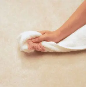 Carpet Cleaning