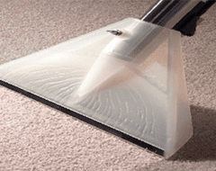Is Green Carpet Cleaning As Good As Chemical Carpet Cleaning? - Pure Clean Read more about the article Is Green Carpet Cleaning As Good As Chemical Carpet Cleaning?