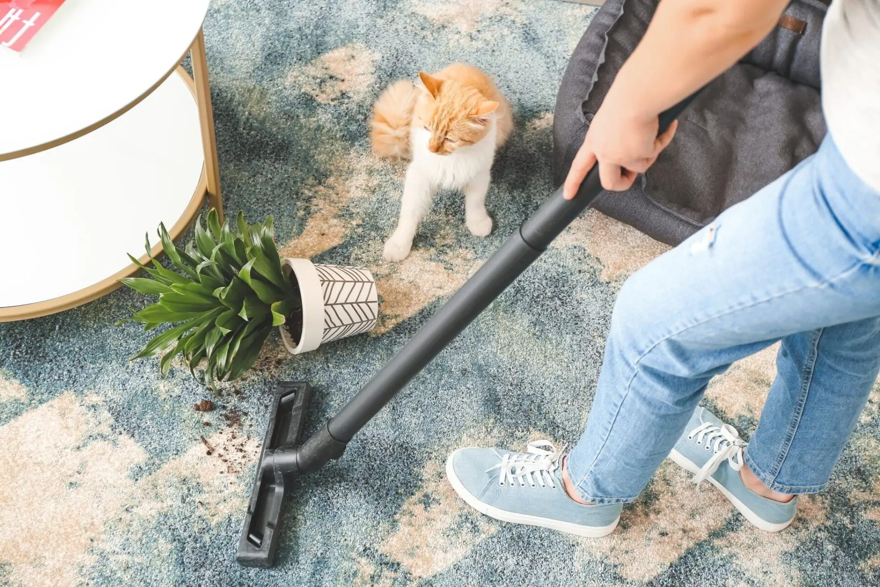 You are currently viewing DIY Carpet Cleaning Hacks for Pet Owners