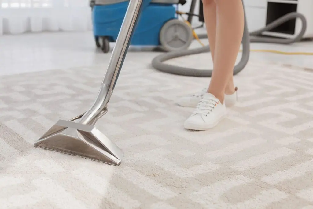 The Benefits of Steam Cleaning Your Rugs - Pure Clean steaming rugs