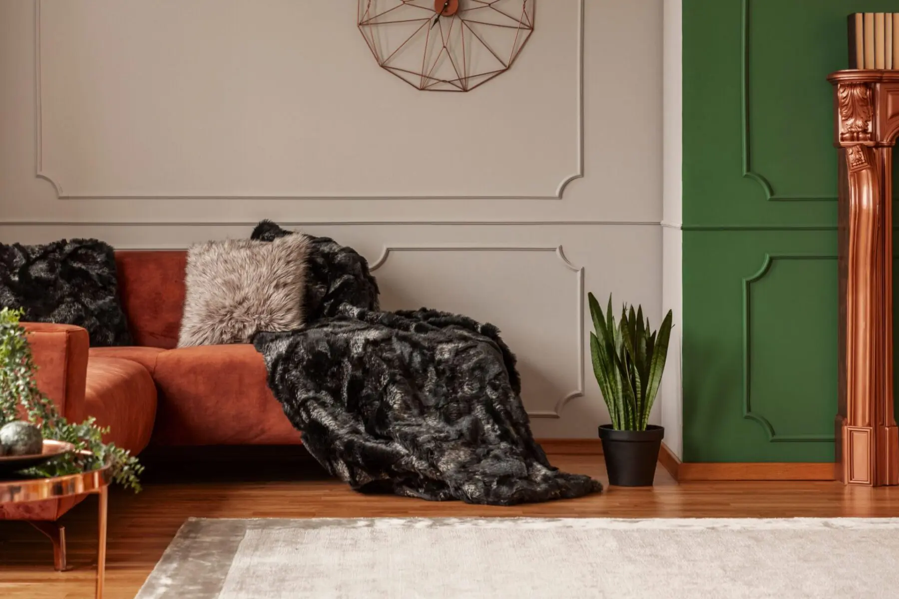 Throw Rug Cleaning - Pure Clean Trendy Living Room with Throw Rug