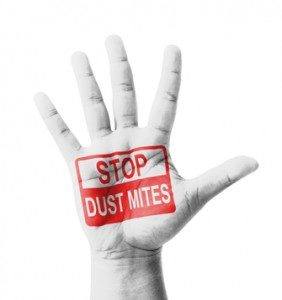 StopDustMites--PureClean--Carpet Cleaning Seattle