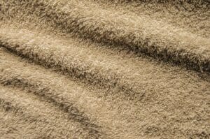 Carpet Cleaning Service