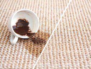 Carpet Cleaning(Before and After)