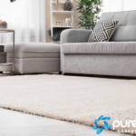 Transform and Protect Your Carpets with Professional Carpet Dyeing