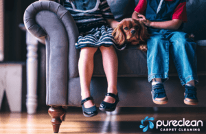 Professional Upholstery Cleaning