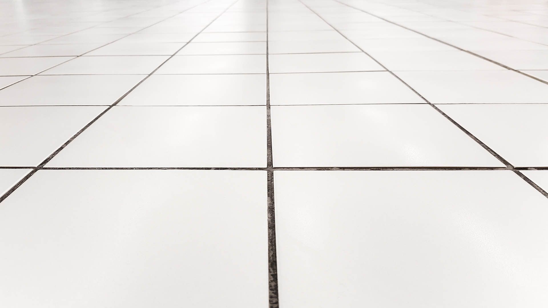 Read more about the article Tile and Grout Sealing