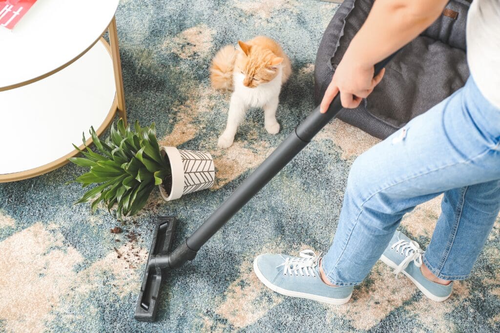 Carpet cleaning pet owners