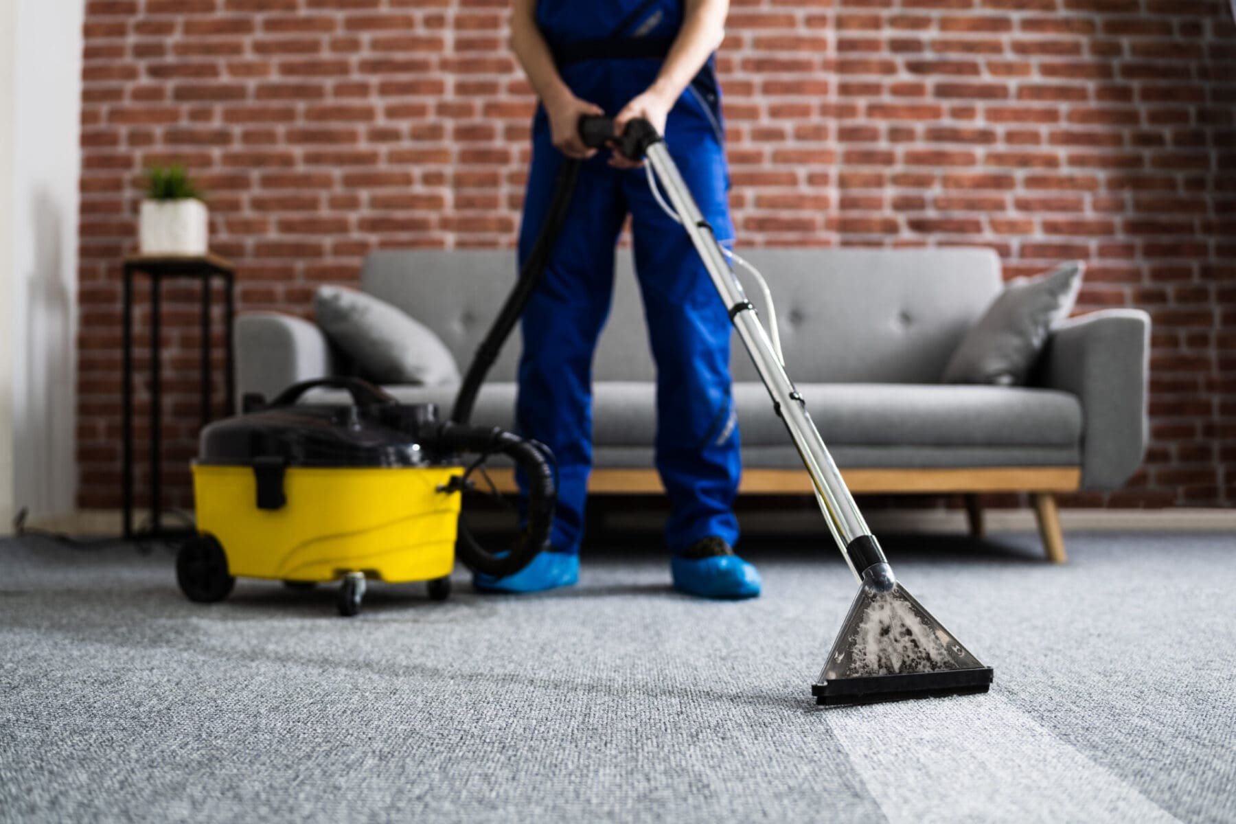 Read more about the article The Hidden Dangers of Dirty Carpets: What You Need to Know