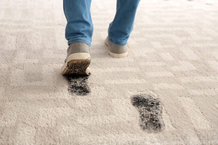 muddy footprint on rug