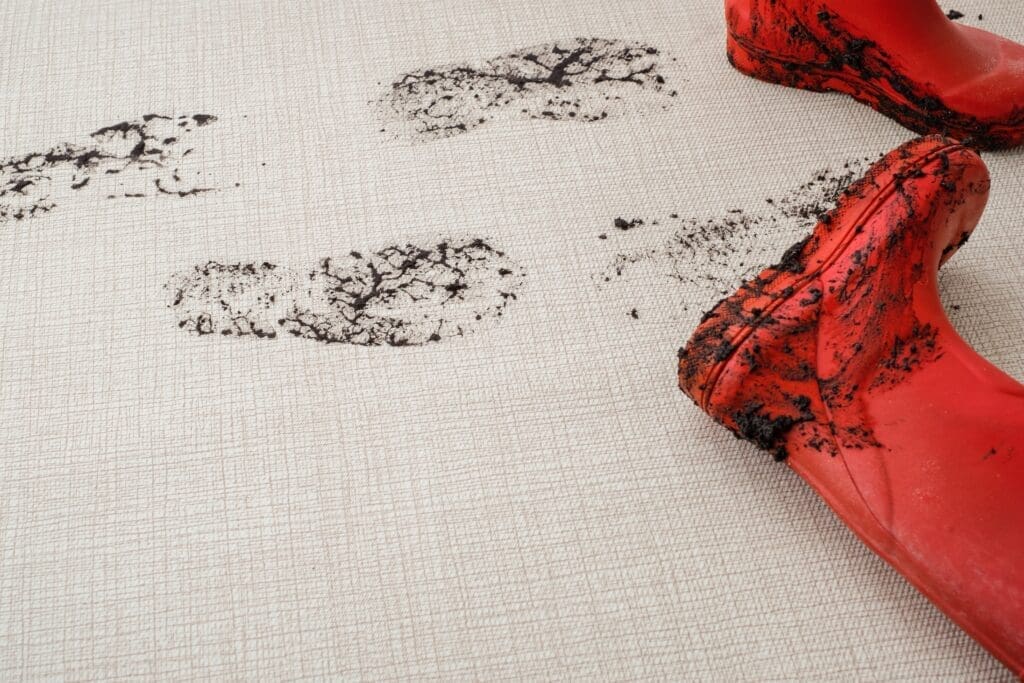 Muddy rug for winter