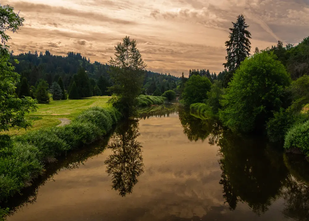 Bothell, WA Landscape