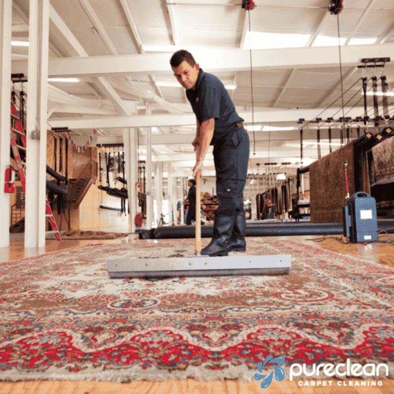 PureClean Carpet Cleaning